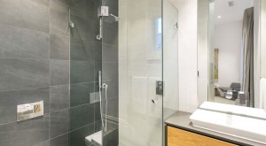 Frameless Shower Screen